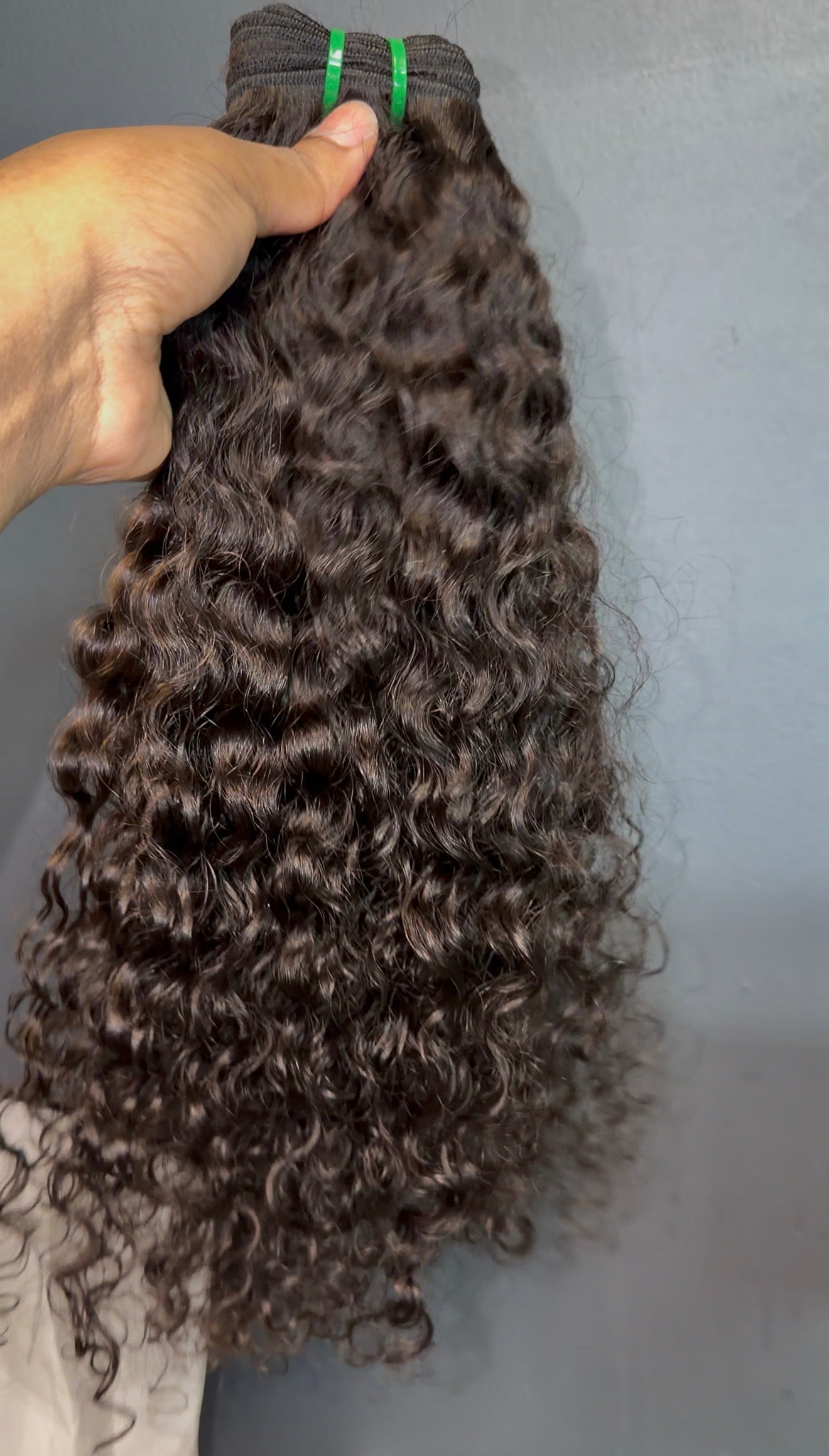 Burmese Curly